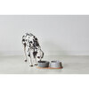 Doppio Dog Bowl Set, Concrete - Pet Bowls & Feeders - 5