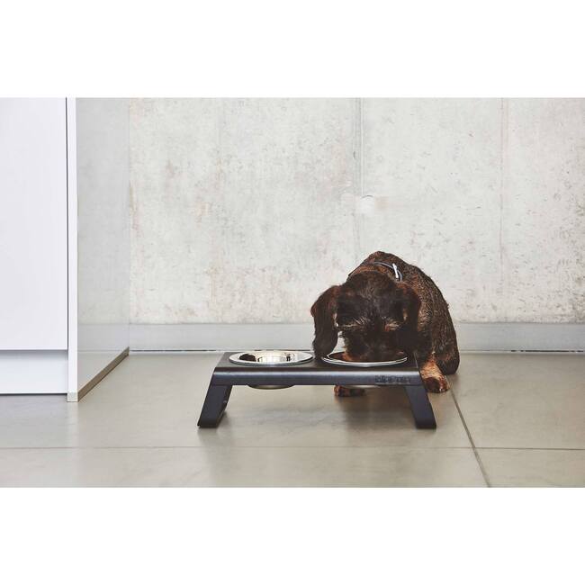 Desco Dog Feeder, Powder and Coated Black - Pet Bowls & Feeders - 6