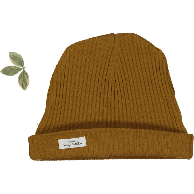 The Ribbed Hat, Cider
