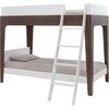 Perch Twin Bunk Bed, Walnut - Beds - 2