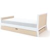 Sparrow Twin Bed, Birch - Beds - 4