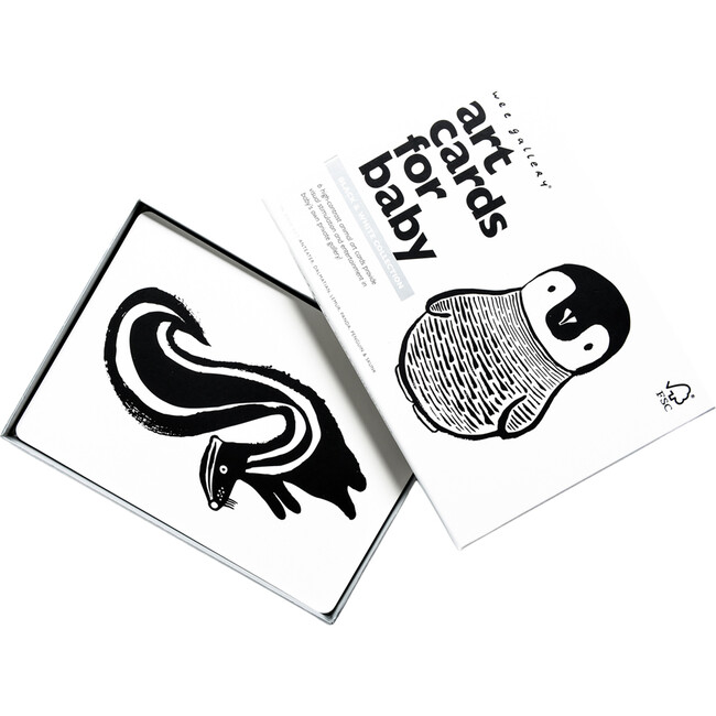 Black and White Art Cards for Baby - Developmental Toys - 1