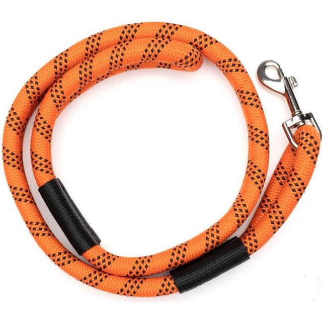 Leader of the Pack Leash, Orange and Black - Leash & Collar Sets - 1