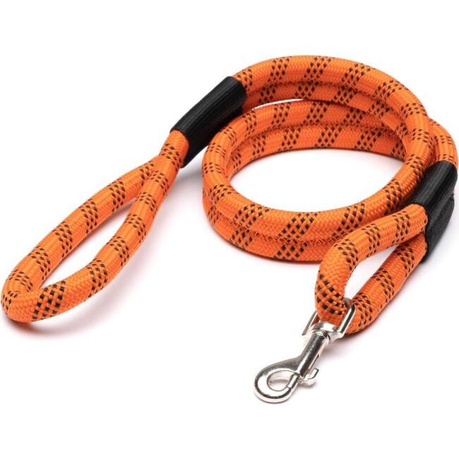 Leader of the Pack Leash, Orange and Black - Leash & Collar Sets - 2