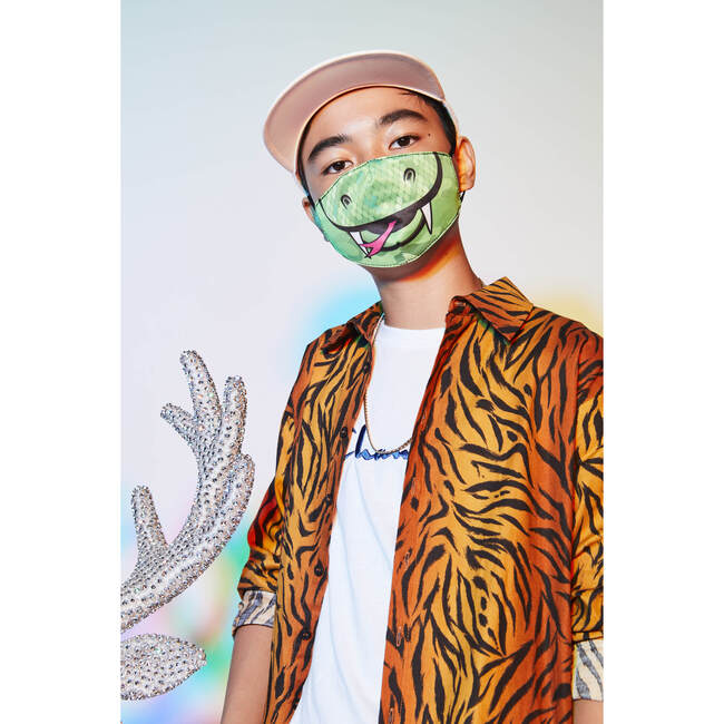 Snake & Tiger Face Mask Set