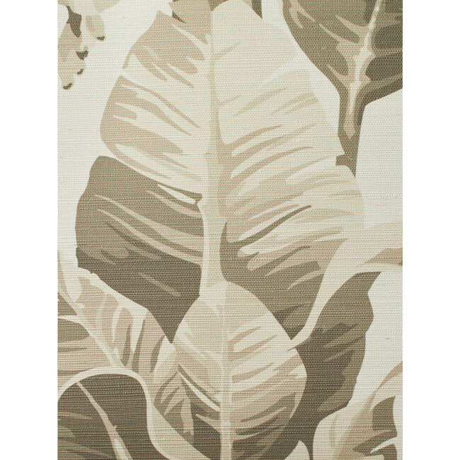 Pacifico Palm Grasscloth Wallpaper, Cappuccino