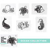 Ocean - Art Cards for Baby - Developmental Toys - 2