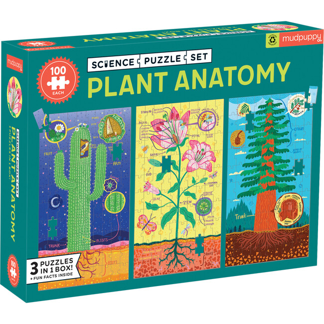 Plant Anatomy Science Puzzle Set - Puzzles - 1