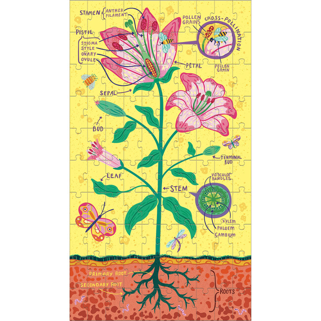 Plant Anatomy Science Puzzle Set - Wooden Puzzles - 3