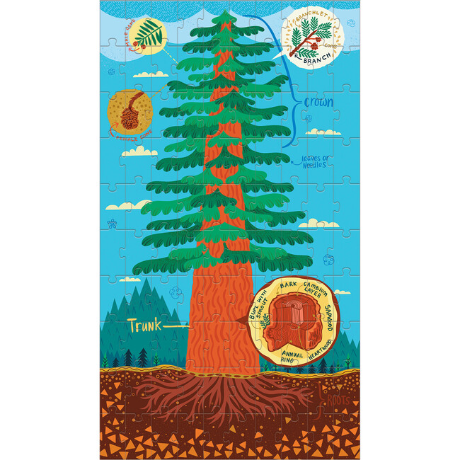 Plant Anatomy Science Puzzle Set - Wooden Puzzles - 4