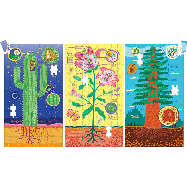Plant Anatomy Science Puzzle Set - Wooden Puzzles - 5