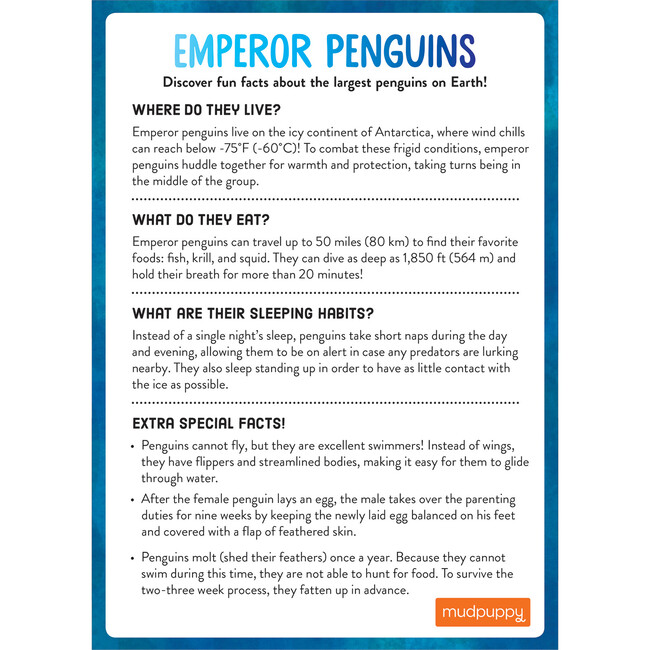 Penguin's Iceberg Adventure - Board Games - 3