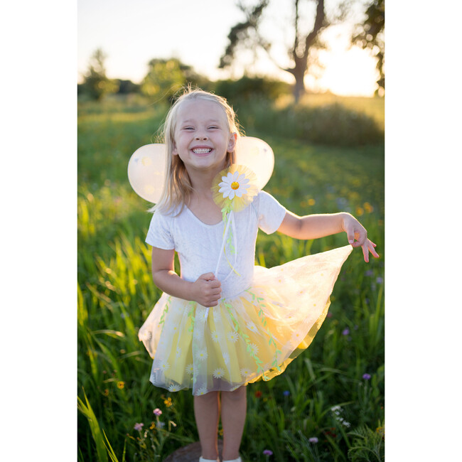 Daisy Tutu - Costumes - 2