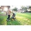Era Sea Glass - Single Strollers - 6