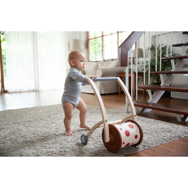 Roll N Walk - Push & Pull - 4