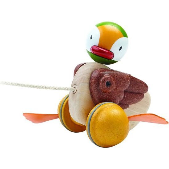 Pull-Along Duck - Push & Pull - 1