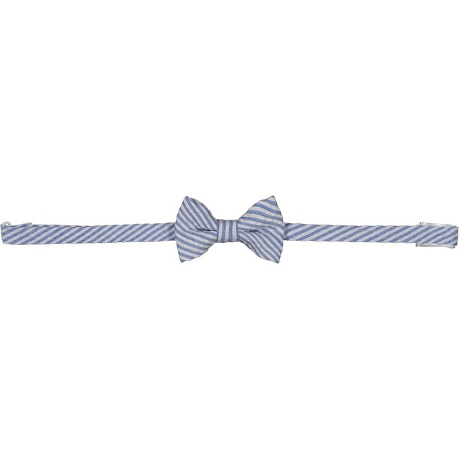Bowtie, Blue Stripes - Bowties & Ties - 1