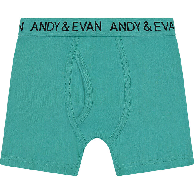 Boys Five Pack Boxer Briefs - Series 1, Blue - Underwear - 4