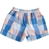 Blue Chex Birch Shorts - Shorts - 2