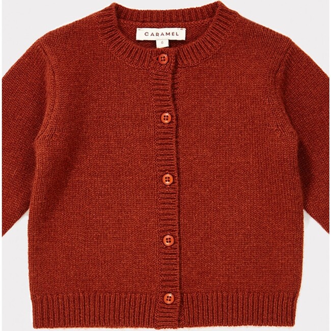 Hermione Cashmere Cardigan, Rust - Sweaters - 2