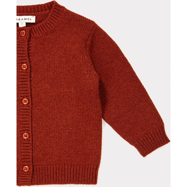 Hermione Cashmere Cardigan, Rust - Sweaters - 3