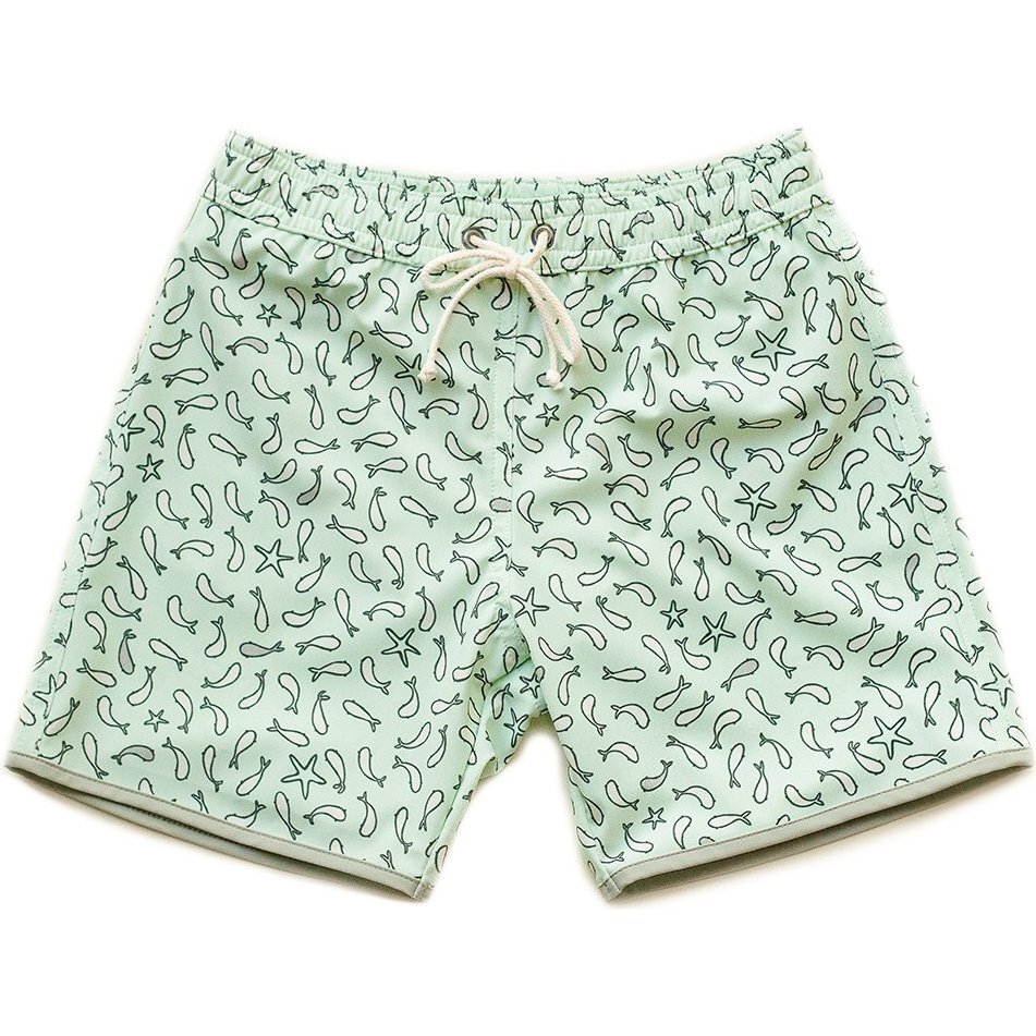Tommaso Shorts, Fish Print Mint - Swim Trunks - 1