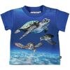 Baby Turtles T-Shirt, Blue - Tees - 1 - thumbnail