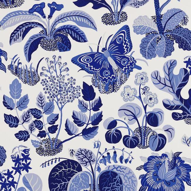 Exotic Butterfly Wallpaper, Marine - Wallpaper - 1