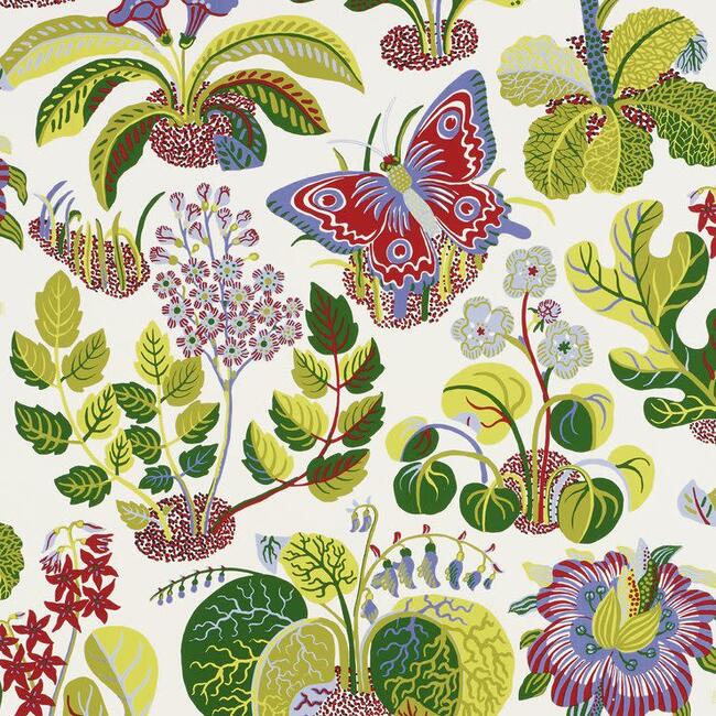 Exotic Butterfly Wallpaper, Multi