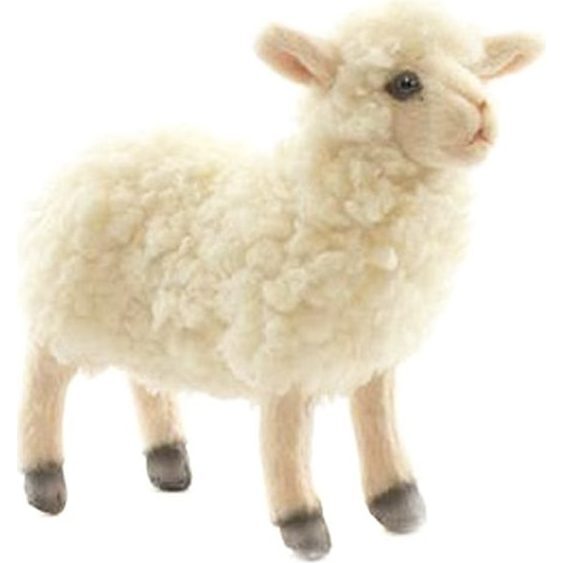 White Little Lamb - Plush - 1
