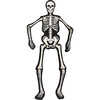 Articulated Skeleton Decorative Accent - Paper Goods - 1 - thumbnail