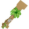 Sunny Safari Growth Chart - Accents - 4