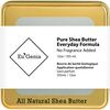 Everyday Strength Unscented Shea - Body Lotions & Moisturizers - 1 - thumbnail