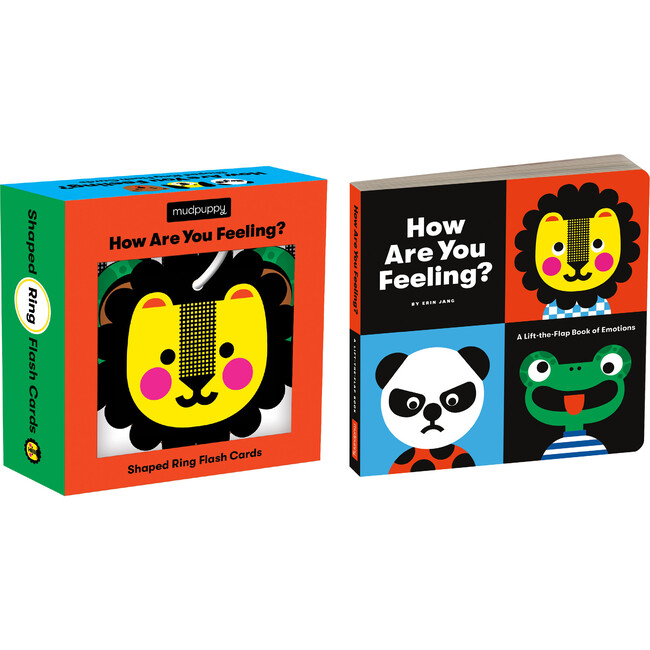 How Are You Feeling? Flash Card and Book Set