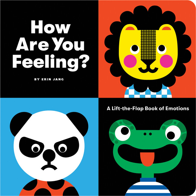 How Are You Feeling? Flash Card and Book Set