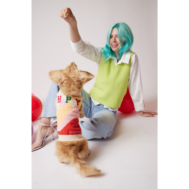 Happy Jumper, Multi - Dog Clothes - 2