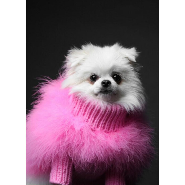 Christian Cowan X Maxbone Jumper, Pink - Dog Clothes - 3