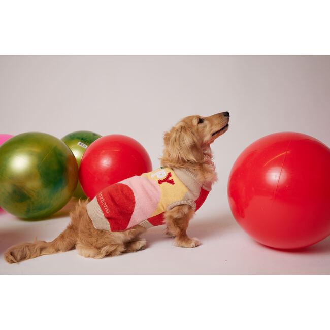 Happy Jumper, Multi - Dog Clothes - 3