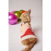 Happy Jumper, Multi - Dog Clothes - 4