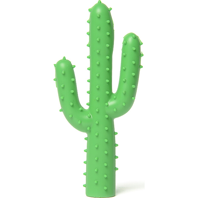 Silly Succulent Toy Cactus - Pet Toys - 1
