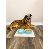 Ripple Dog Bowl, Cloud - Pet Bowls & Feeders - 2
