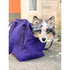 Canvas Dog Bag Carrier Tote, Navy - Pet Carriers & Totes - 2