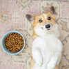 Ripple Dog Bowl, Cloud - Pet Bowls & Feeders - 3 - thumbnail