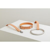 Lumi Collar, Silver and Tan - Collars, Leashes & Harnesses - 3 - thumbnail
