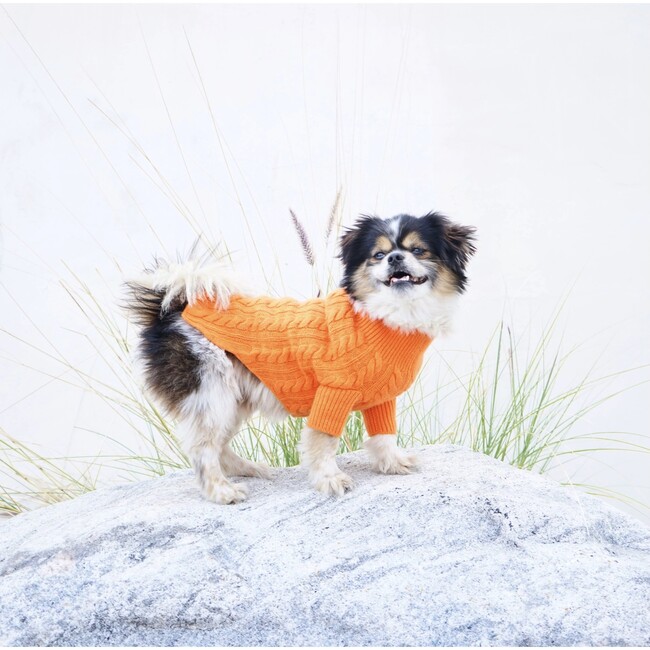 The Rufus Sweater, Tangerine