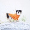 The Rufus Sweater, Tangerine - Dog Clothes - 2 - thumbnail