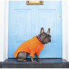 The Rufus Sweater, Tangerine - Dog Clothes - 3