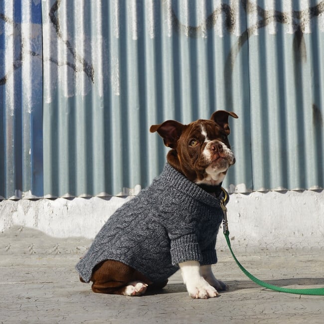 The Rufus Sweater, Speckle