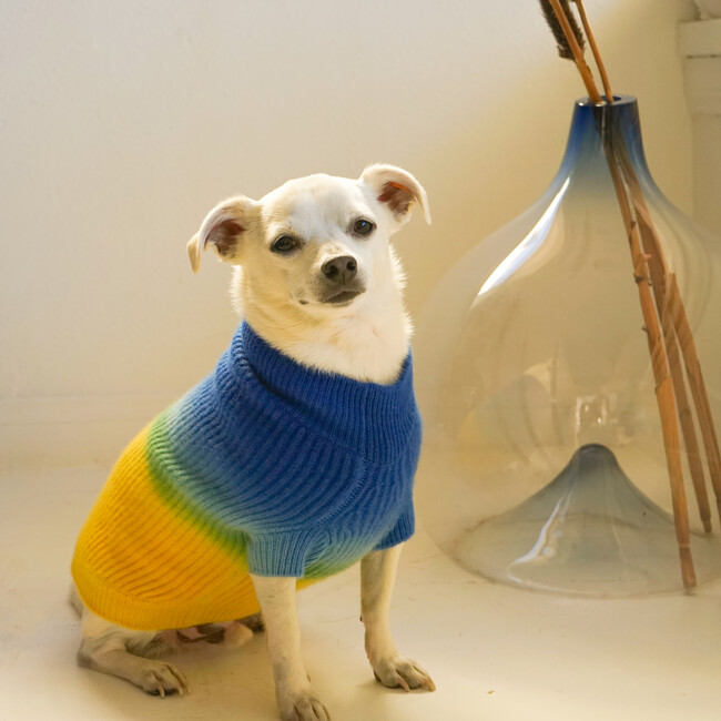 The Major Sweater, Pineapple
