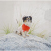 The Major Sweater, Sugar - Dog Clothes - 5